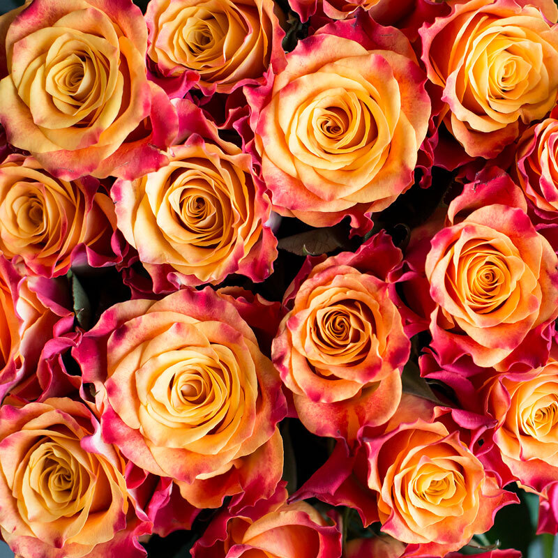 marry-haiko-roser-floriss.jpg