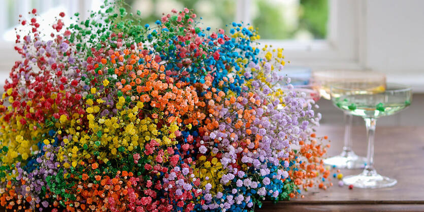 Blomster i alle<br/> regnbuens farger