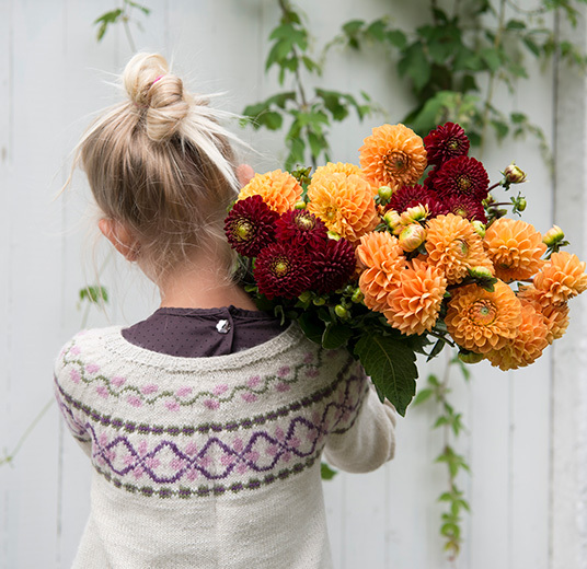georginer-dahlia-feber-5.jpg