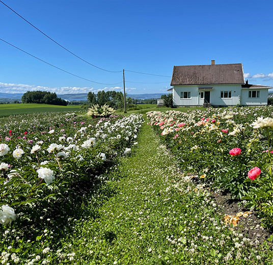 peoner-stanger-gaard-2.jpg