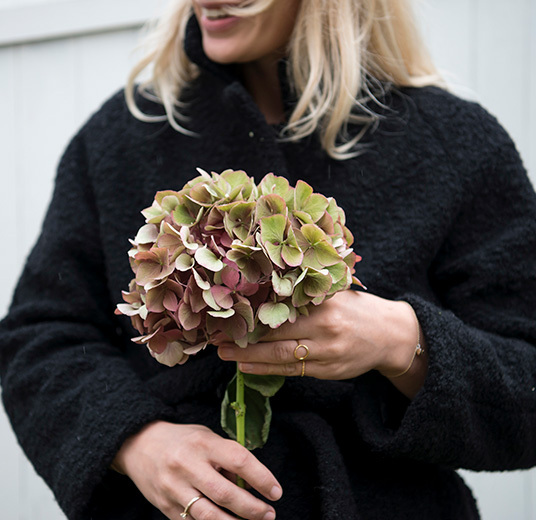 hortensia-i-vase-4-snitt-floriss-2022.jpg