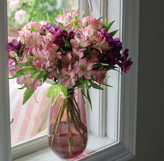 alstromeria-3.jpg