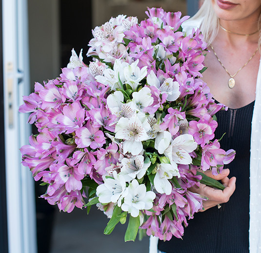 alstromeria-4.jpg