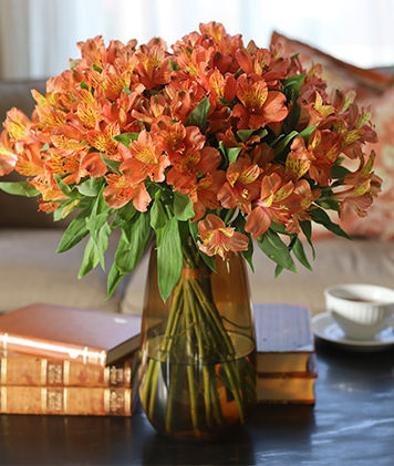 alstromeria-7.jpg