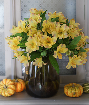 alstromeria-9.jpg