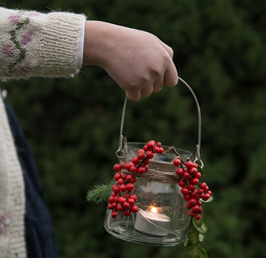 ilex-baer-1-floriss.jpg