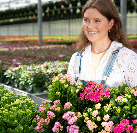 baerekraftige-blomster-calandiva-4.jpg