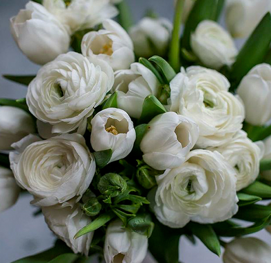 ranunkler-og-anemoner-2-januarblomster-floriss-2023.jpg