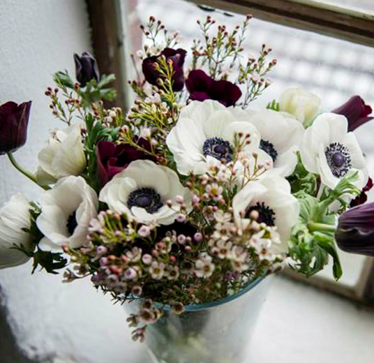 ranunkler-og-anemoner-januarblomster-floriss-2023.jpg