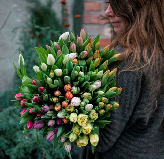 roser-og-tulipaner-1-januarblomster-floriss-2023.jpg