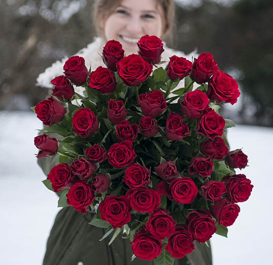 februarblomster-roser-2-floriss-2023.jpg