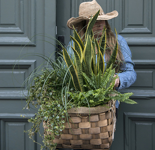potte-om-plantene-1.jpg