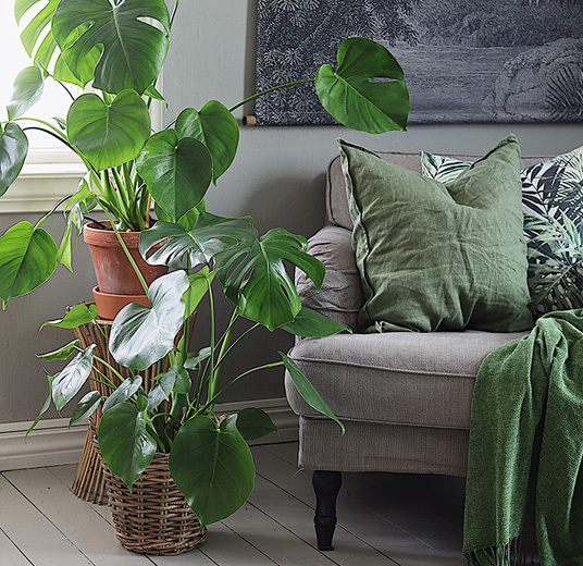 potte-om-plantene-4.jpg