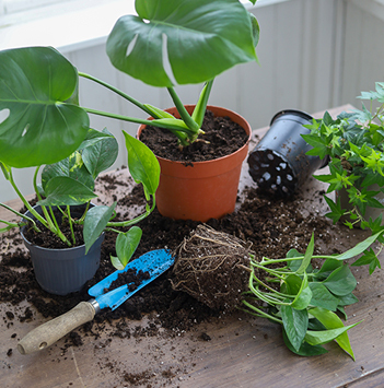 potte-om-plantene-9.jpg
