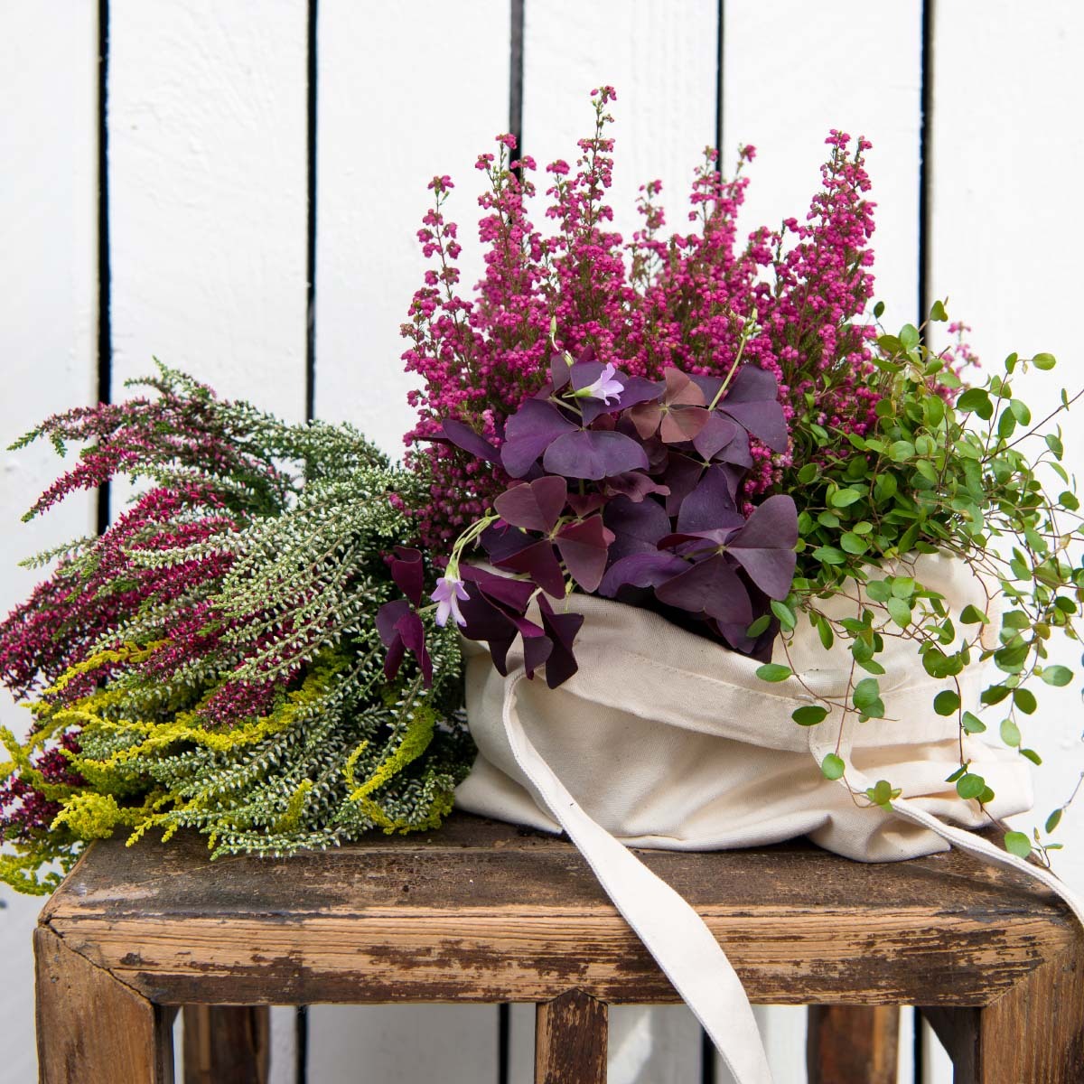Høstplanter i sammenplantning